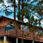 Cabin Forest Lodge Lodging Cottage  - jkdberna / Pixabay