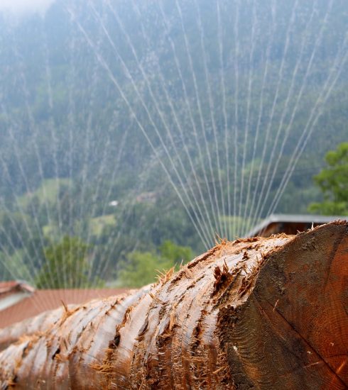 Wood Log Carpentry Irrigation  - bboellinger / Pixabay