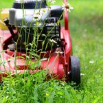 Lawn Mower Mow Gardening Lawn  - congerdesign / Pixabay