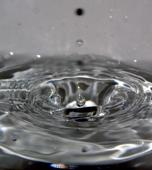 Waterdrop Dripping Drops Water  - Terranaut / Pixabay
