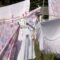 laundry, bed linen, laundry spider, clothes line, clothing, to wash, hang, garden, meadow, house work, clothespins, dry, nature, wind