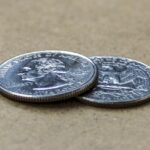 coin, silver, money, currency, business, finance, metal, investment, economy, macro, brown money, brown finance, brown economy